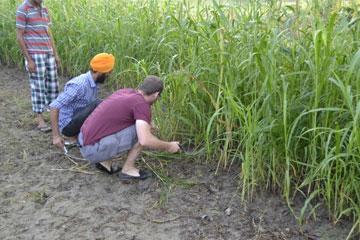 Village Tour of Amritsar